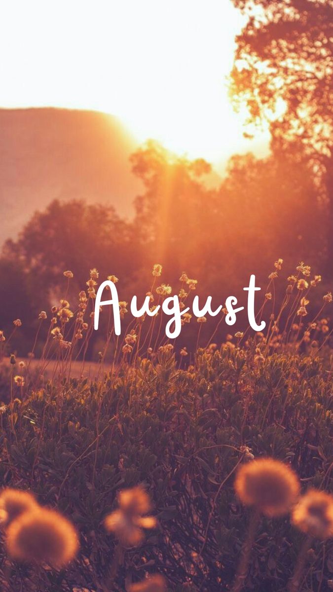 🌟AUGUST OFFERS🌟