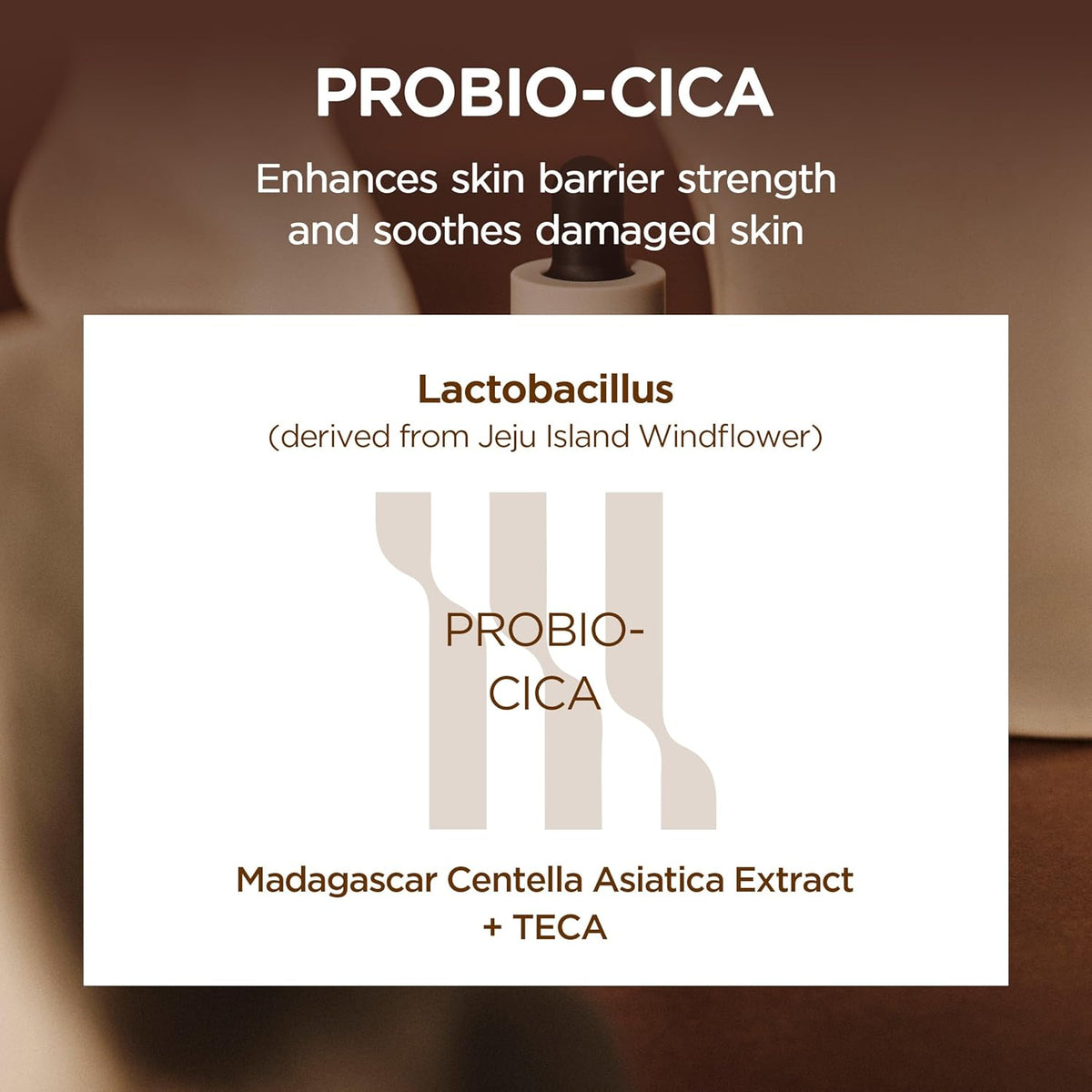 [Skin1004] MADAGASCAR CENTELLA PROBIO-CICA INTENSIVE AMPOULE